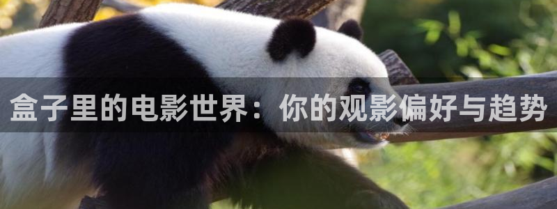 酷客影院在线观看入口