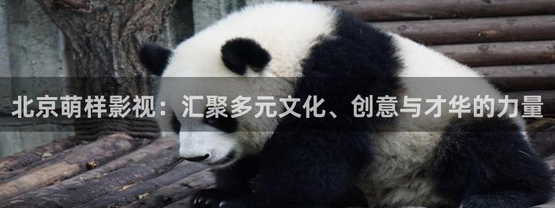 酷客影院手机电视剧在线观看