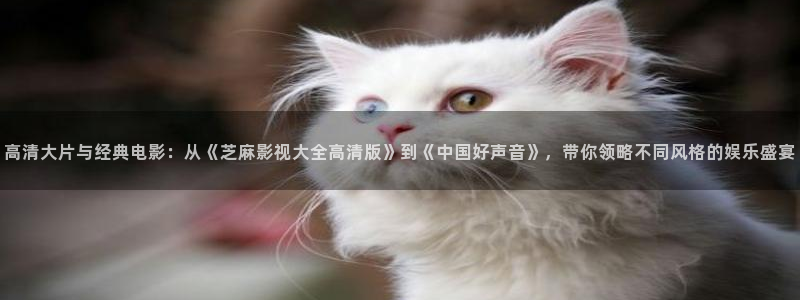 酷客影院在线观看了