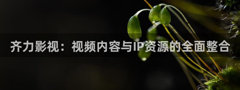 酷客影院手机在线观看免费