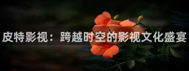 年轻的秘书3酷客影院