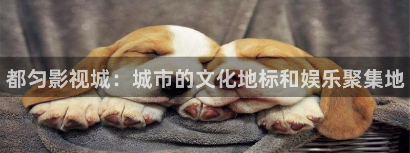 酷客影院姐姐的朋友