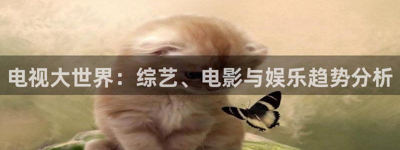 酷客电影